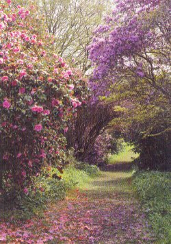 Anthony Woodland Garden