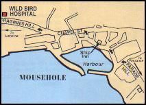 Mousehole Bird Hospital & Sanctuary