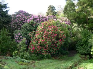 Carwinion House and; Garden