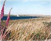 Colliford Lake