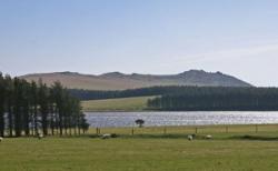 Crowdy Reservoir