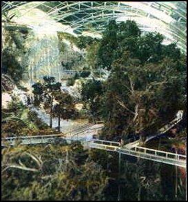 The Eden Project