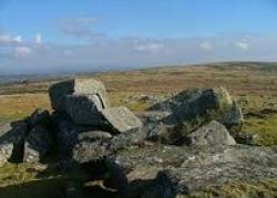 Fox Tor