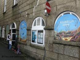 Fowey Aquarium