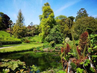 Glendurgan Garden