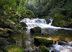 Golitha Falls