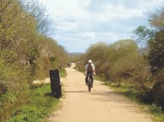 Goss Moor Trail