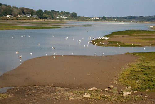 The Hayle Estuary