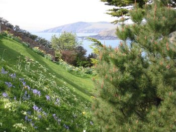 Headland Garden