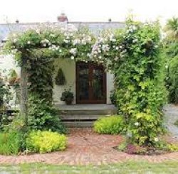 The Homestead Woodland Garden