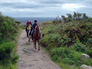 Horse Riding in Cornwall