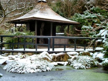 The Japanese Garden and Bonsai Nursery