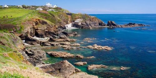 Lizard Point