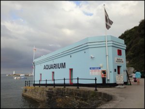 Mevagissey Aquarium