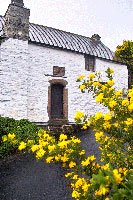 Mary Newman's Cottage