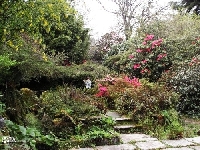 Penjerrick Garden