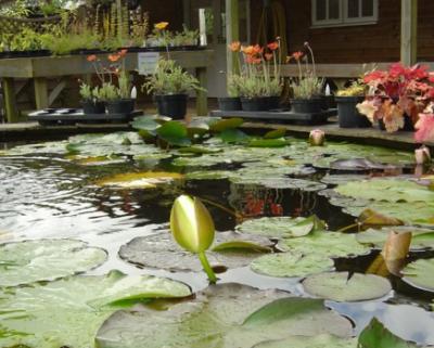 Penrose Water Gardens