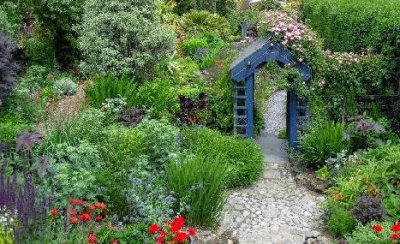 Poppy Cottage Garden