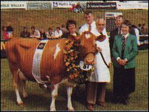 Royal Cornwall Show