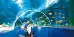 Blue Reef Aquarium