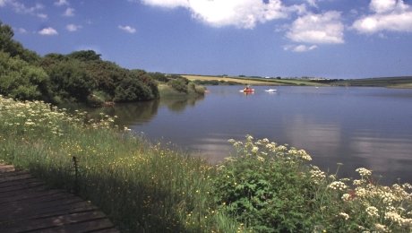 Tamar Lakes