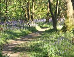 Tehidy Country Park