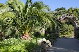 Tresco Abbey Gardens