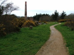 Tuckingmill Valley Park