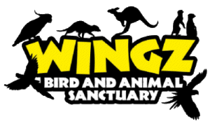 Wingz Bird and Animal Sanctuary